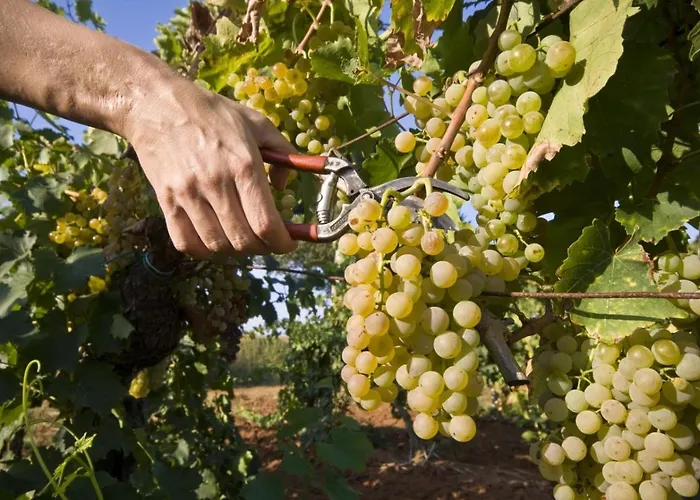 In With Loggia, Air Conditioning, Wifi, Washing Machine 3613-1 아파트 *